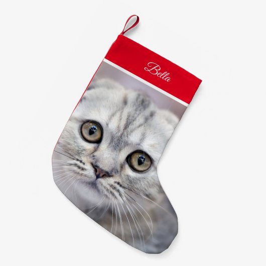 Petite Chaussette De Noël Scottish Fold (Devant (Accrochage))