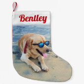 Petite Chaussette De Noël Script moderne Nom de l'animal et photo mignon rou (Devant)