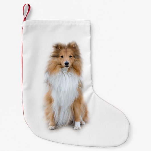 Petite Chaussette De Noël Sheltie Shetland Sheepdog (Devant)