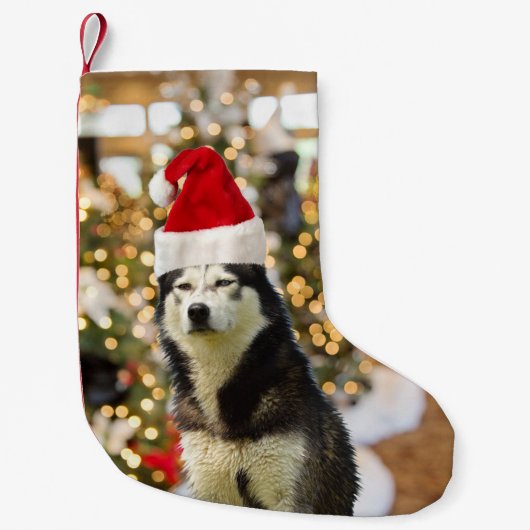 Petite Chaussette De Noël Sibérien Husky Christmas Tree Casquette (Devant)
