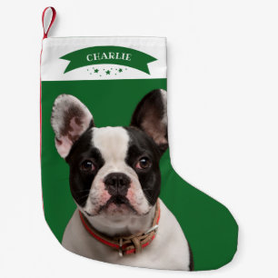 Petite Chaussette De Noël Simple Chien de Compagnie Photo Personnalisé Migno