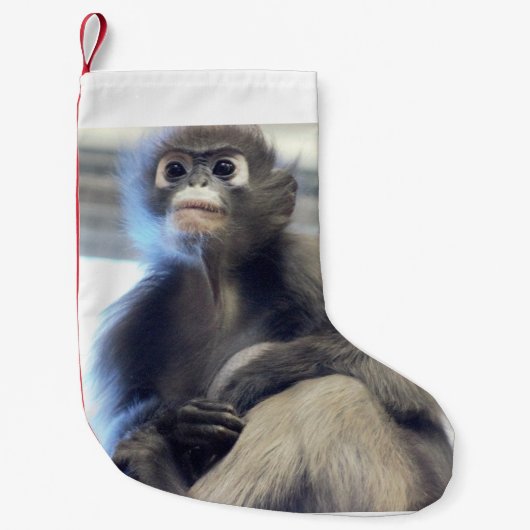 Petite Chaussette De Noël Singe (Devant)