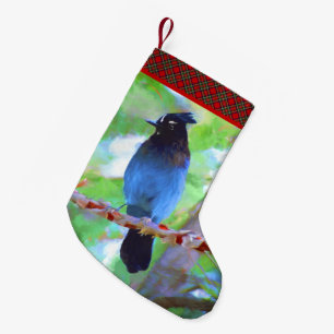 Petite Chaussette De Noël Steller's Jay Painting - Art original pour oiseaux