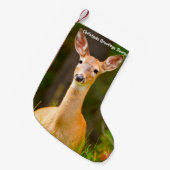 Petite Chaussette De Noël Stockage de Noël (Devant (Accrochage))