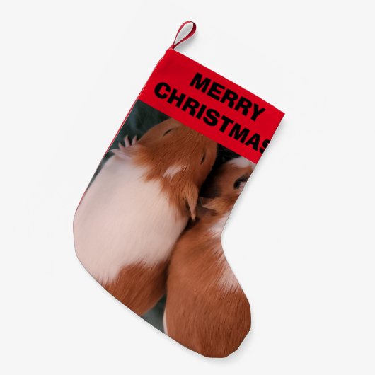 Petite Chaussette De Noël Stocks de cochons de Guinée (Devant (Accrochage))