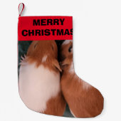 Petite Chaussette De Noël Stocks de cochons de Guinée (Devant)