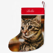 Petite Chaussette De Noël Tabby American Shorthair Custom (Dos)