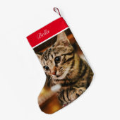 Petite Chaussette De Noël Tabby American Shorthair Custom (Dos (Accrochage))