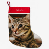 Petite Chaussette De Noël Tabby American Shorthair Custom (Devant)