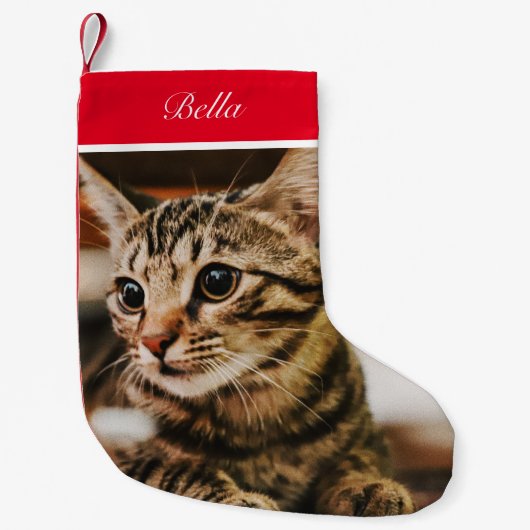 Petite Chaussette De Noël Tabby Look (Personnaliser It) (Devant)