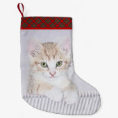 Petite Chaussette De Noël Tabby Orange Kitten Peinture - Art Chat original (Devant)