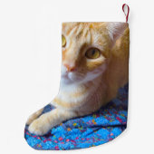Petite Chaussette De Noël Tabby orange sur couette (Dos)