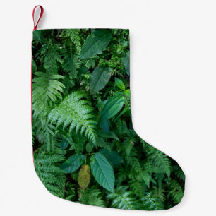 Petite Chaussette De Noël Texture de feuillage de l'herbe de fougère verte