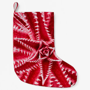 Petite Chaussette De Noël thorn cactus,natural pattern,abstract red backgrou