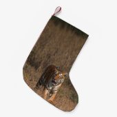 PETITE CHAUSSETTE DE NOËL TIGER PORTRAIT (Devant (Accrochage))
