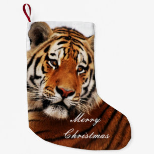 Petite Chaussette De Noël Tiger regard latéral photo