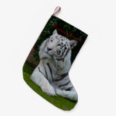 Petite Chaussette De Noël Tigre de Bengale blanc (Devant (Accrochage))