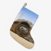 PETITE CHAUSSETTE DE NOËL TORTUE DE SABLE GRIS (Devant (Accrochage))
