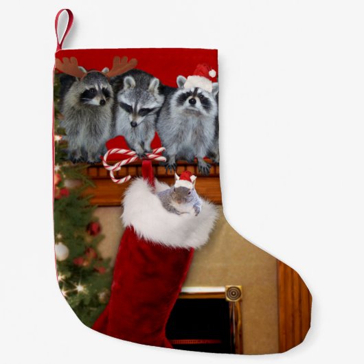 Petite Chaussette De Noël Un bas d'un bas ! (Devant)