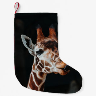 PETITE CHAUSSETTE DE NOËL UN GIRAFFE AU ZOO DE CALGARY QUI RETIRE SA LANGUE