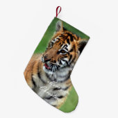 Petite Chaussette De Noël Un petit tigre mignon (Devant (Accrochage))