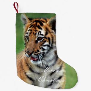 Petite Chaussette De Noël Un tigre de bébé mignon