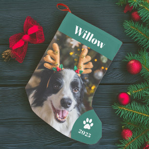 Petite Chaussette De Noël Vacances photo pour animaux de compagnie personnal