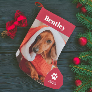 Petite Chaussette De Noël Vacances photo pour animaux de compagnie personnal