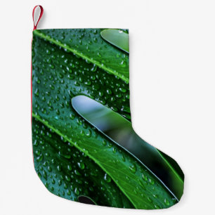 Petite Chaussette De Noël Vert feuille plante Monstera