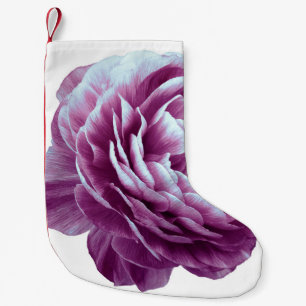 Petite Chaussette De Noël Vintage rose flower purple. Flower isolated on whi