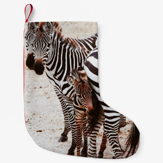 PETITE CHAUSSETTE DE NOËL ZEBRA FAMILY (Devant)