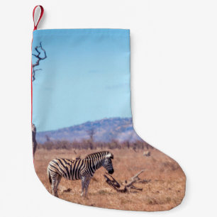 Petite Chaussette De Noël Zèbre des plaines dans le parc national de Kruger,