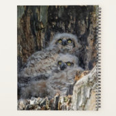 Petite chouette à cornes 2024 (Dos)