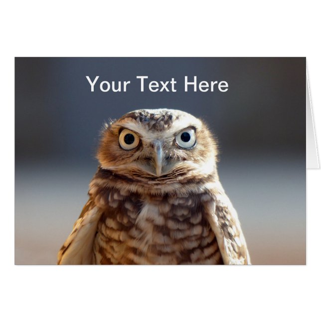 Petite chouette bractée (Devant horizontal)