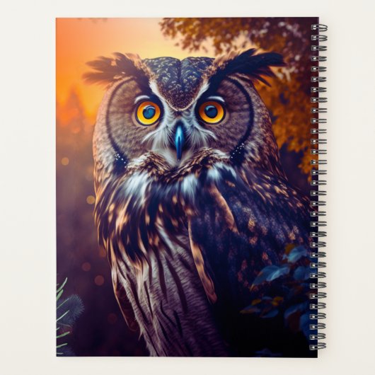 Petite Chouette en Forêt Nature Faune Oiseau Anima (Dos)