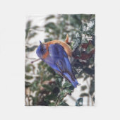 Petite couverture d'ouatine d'oiseau bleu oriental (Devant)