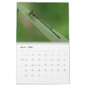 Petite Faune : Calendrier des insectes (Mar 2026)