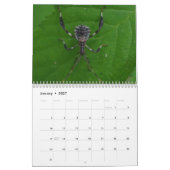 Petite Faune : Calendrier des insectes (Jan 2027)