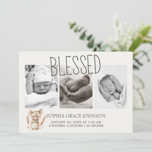 Petite ferme de pépinière Animaux bébé Faire-part (Debout devant)