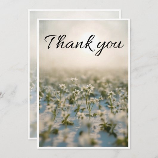 petite fleur blanche éparpillée sur une carte de r (Devant / Derrière)