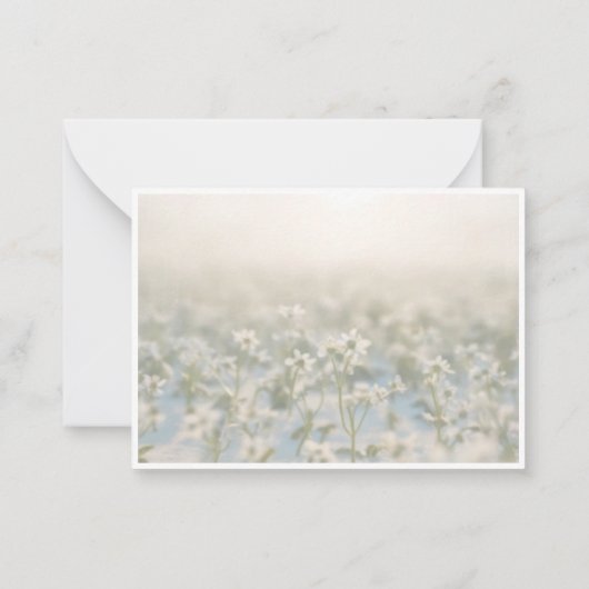 petite fleur blanche parsemée dans le carte de rem (Dos)