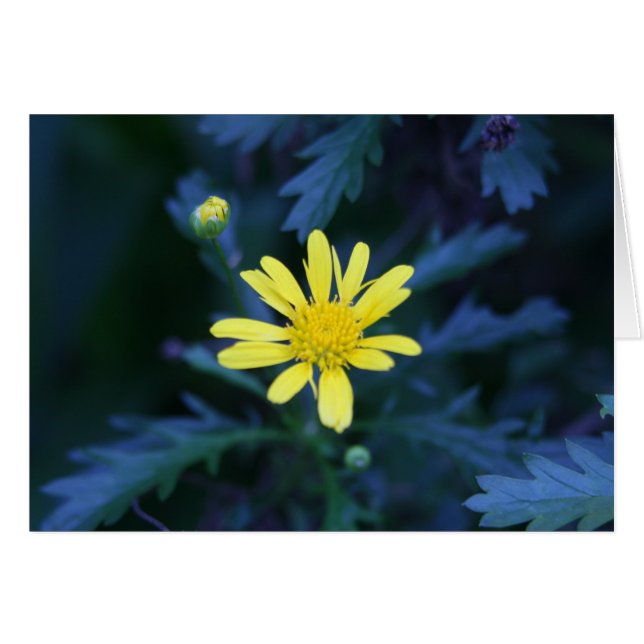 petite fleur jaune (Devant horizontal)
