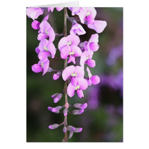 Petite fleur pourpre