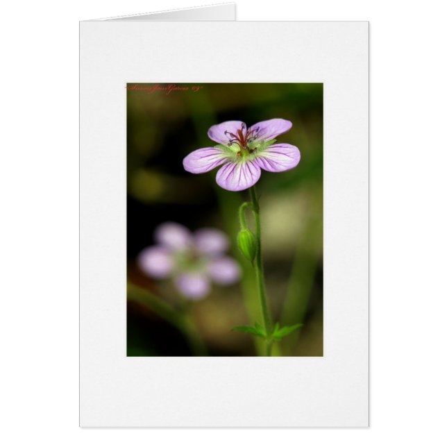 Petite fleur violette (Devant)