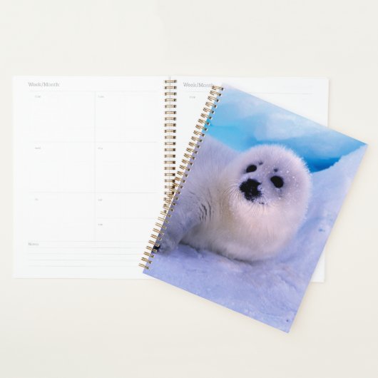 Petite housse de phoque de harpe recouverte de flo (Devant avec enveloppe)