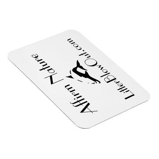 PETITE MAGNET DE BLOWOUT (Côté Droit)