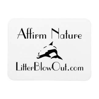 PETITE MAGNET DE BLOWOUT