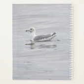 Petite mouette (Dos)