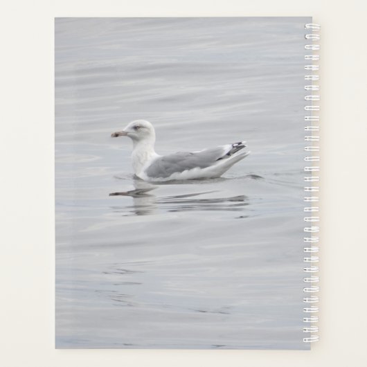 Petite mouette (Dos)