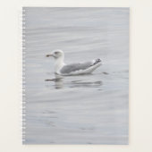 Petite mouette (Devant)